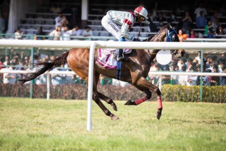 PMU plots horse race betting overhaul with new Pick5 product